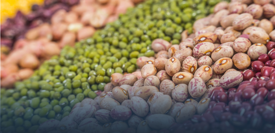 Trockensch&uuml;ttgutauskleidung f&uuml;r Agrarprodukte